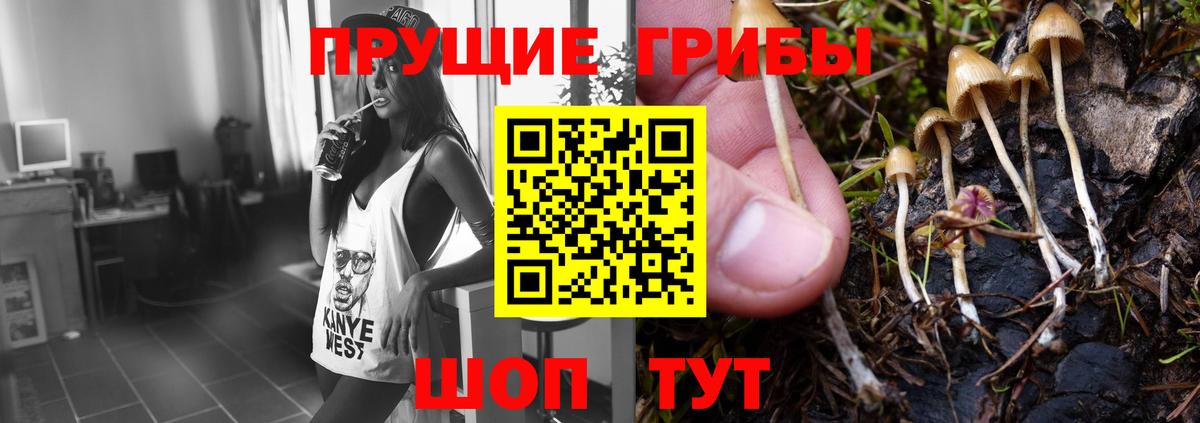 что такое наркотик  Галлюциногенные грибы мицелий  Галлюциногенные грибы Psilocybine cubensis  Вход с VPN  Красногорск 